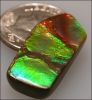 AMMOLITE DESIGNER CABOCHON (Canada) – 10.45 ct.